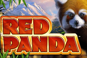 Red Panda
