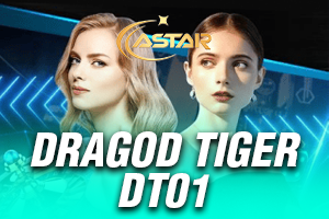 Dragon Tiger DT01
