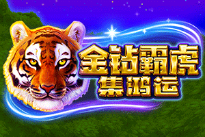 Tiger Stone