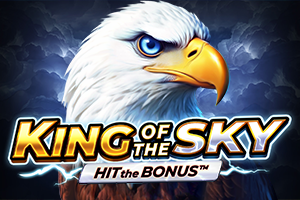 King of the Sky: Hit the Bonus