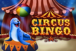 Circus Bingo