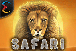 Safari