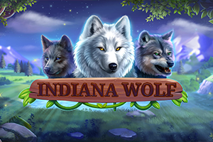 Indiana Wolf 