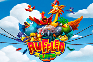 Ruffled Up
