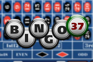 Bingo 37