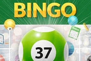 Bingo 37 Ticket