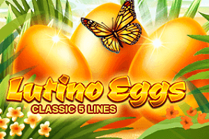 Lutino Eggs