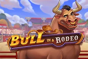 Bull in a Rodeo