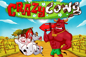 Crazy Cows