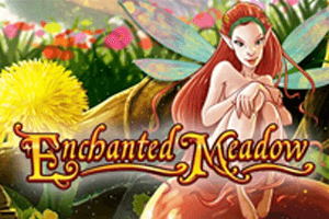 Enchanted Meadow