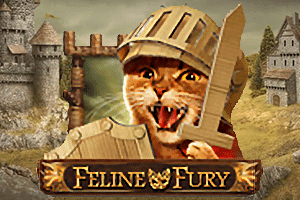 Feline Fury