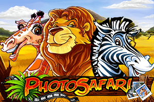Photo Safari