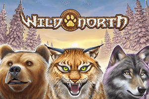 Wild North