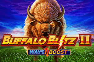 Buffalo Blitz 2