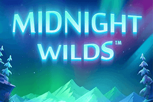 Midnight Wild