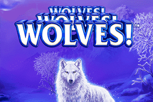 Wolves! Wolves! Wolves!