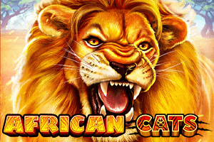 African Cats