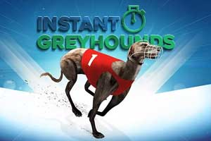 Instant Greyhounds