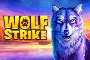 Wolf Strike 94