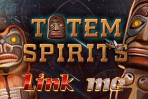 Link Me Totem Of Spirit
