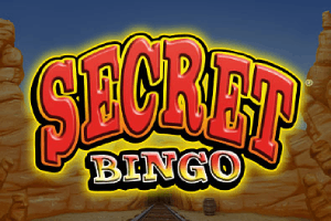 Secret Bingo