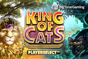 King of Cats