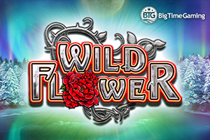 Wild Flower