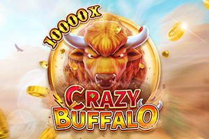 CRAZY BUFFALO
