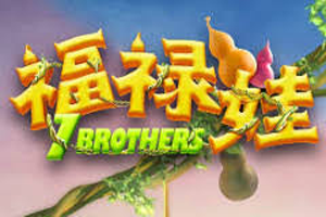 7 Brothers
