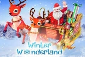Winter Wonderland