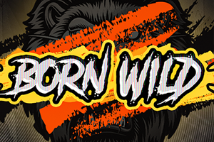Born Wild 96%