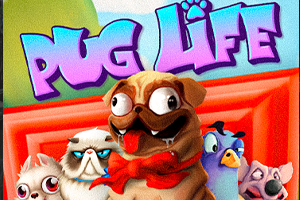 Pug Life 94%