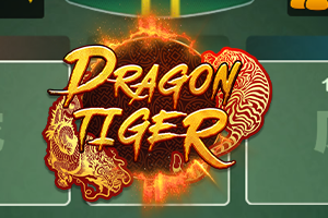 Dragon Tiger 2