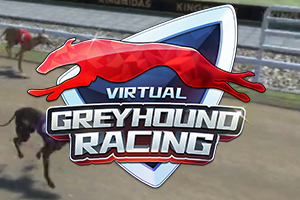 KM Virtual Greyhound Racing