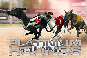 Dogs (Platinum Hounds)