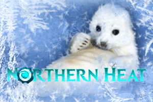 Northern Heat
