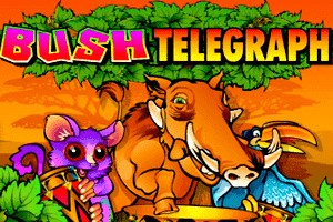 Bush Telegraph