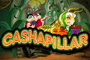 Cashapillar