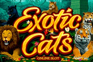 Exotic Cats