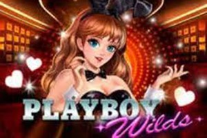 Playboy Wilds