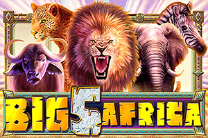 Big 5 Africa 