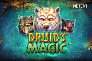 Druid’s Magic