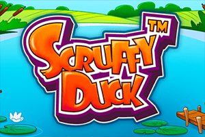 Scruffy Duck DNT