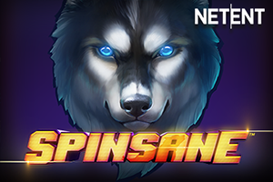 Spinsane