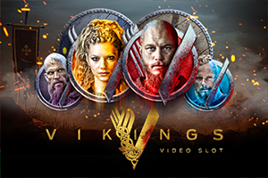Vikings Video Slot DNT