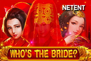 Who's the Bride DNT