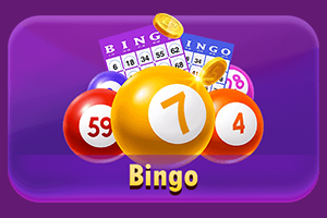 Bingo