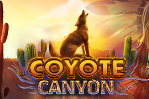 Coyote Canyon