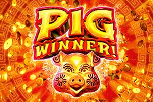 Pig Winner