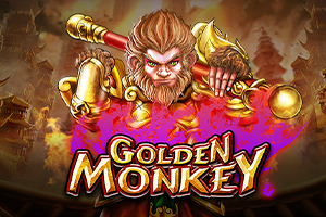 Golden Monkey